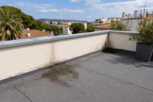 Toit plat avec tache d'eau, plante verte, vue urbaine : expertise Rina Étanchéité sans sous-traitance.